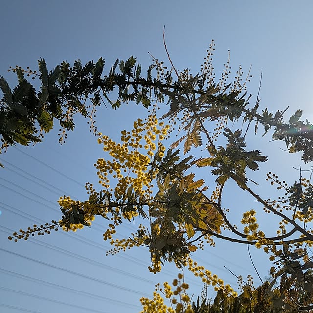 naoさんの実例写真