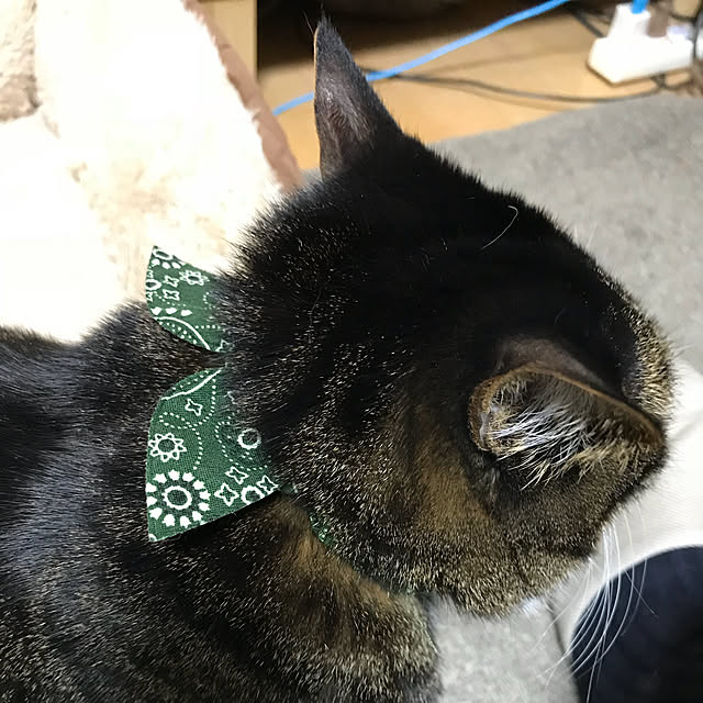 実例写真