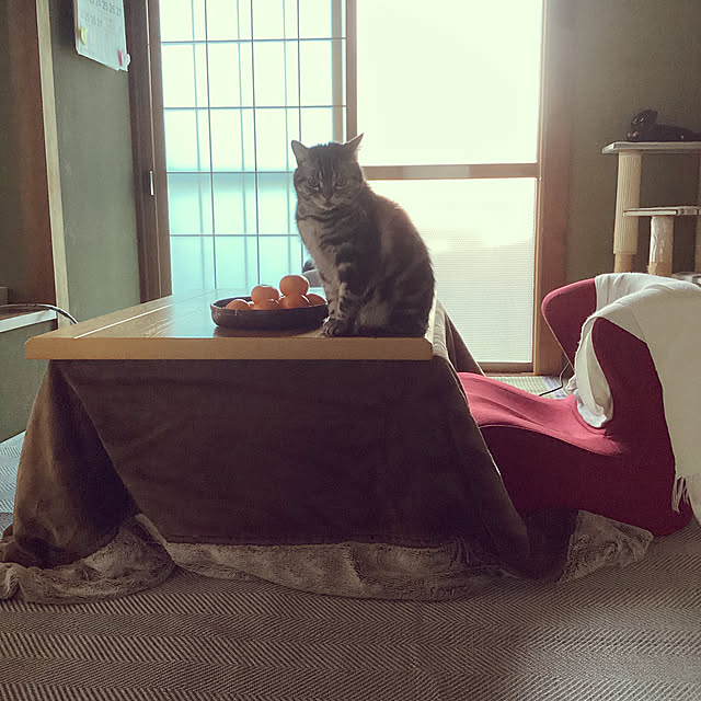 richanさんの実例写真