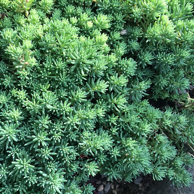 cocoさんの実例写真