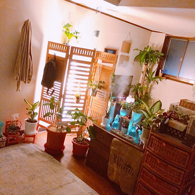 seiryuさんの実例写真