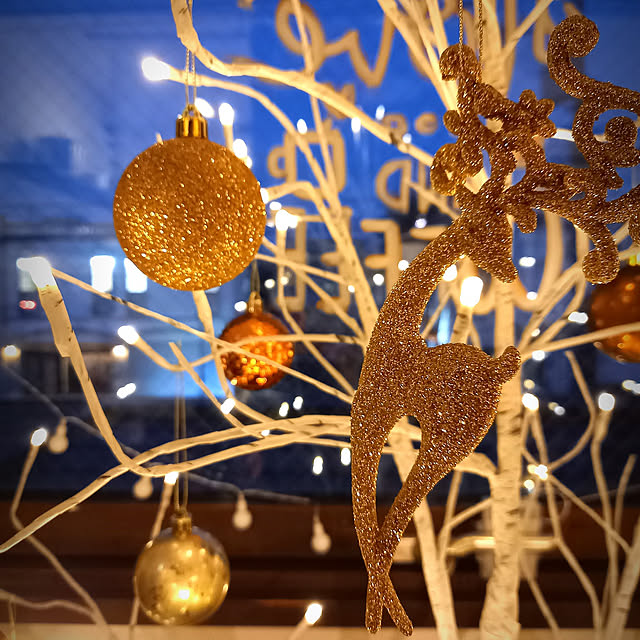 玄関/入り口/クリスマス/小さなカフェ/カフェ店舗のインテリア実例 - 2020-11-12 14:43:29