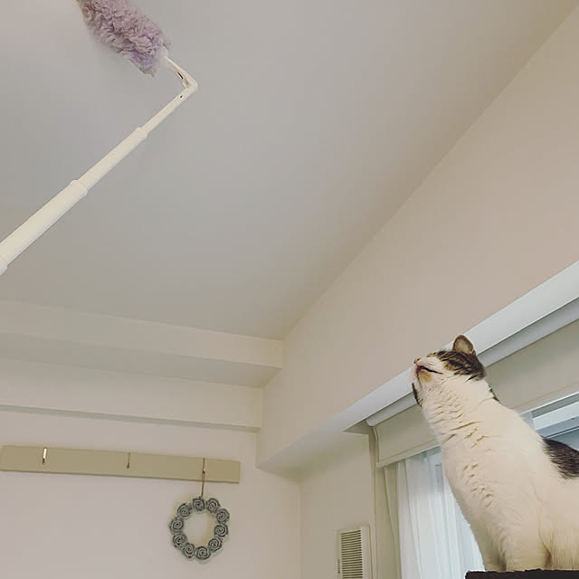 hemukoさんの実例写真