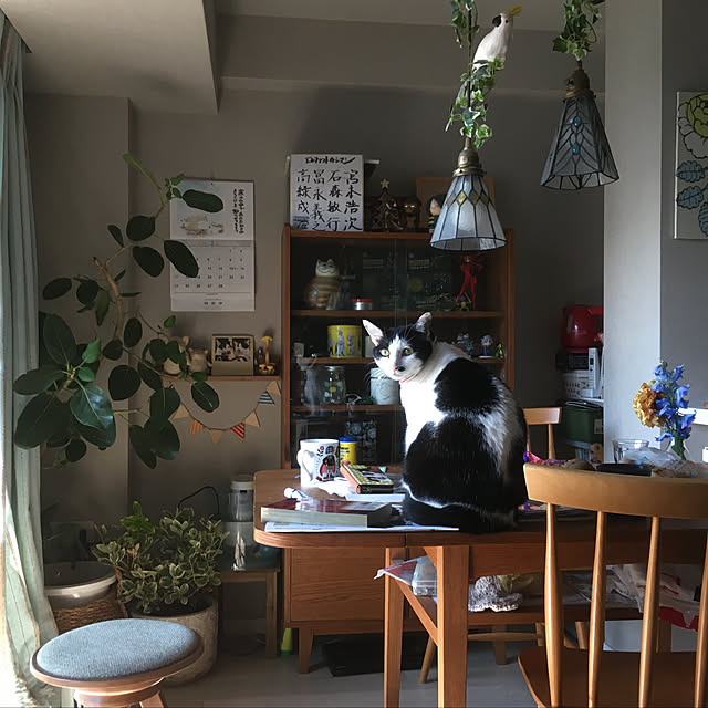 hanaさんの実例写真