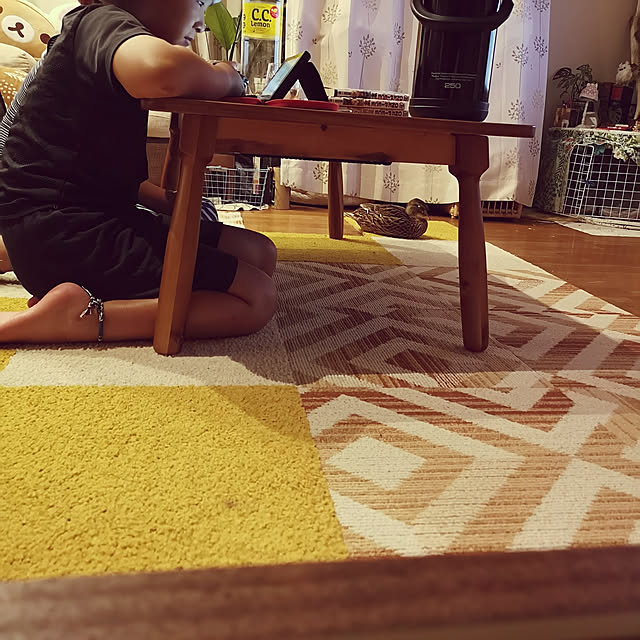 akiさんの実例写真