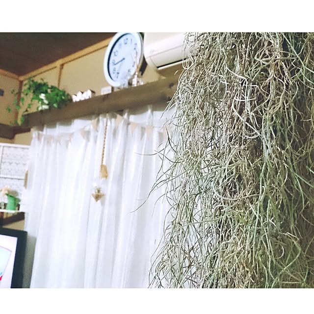 miporin0711さんの実例写真