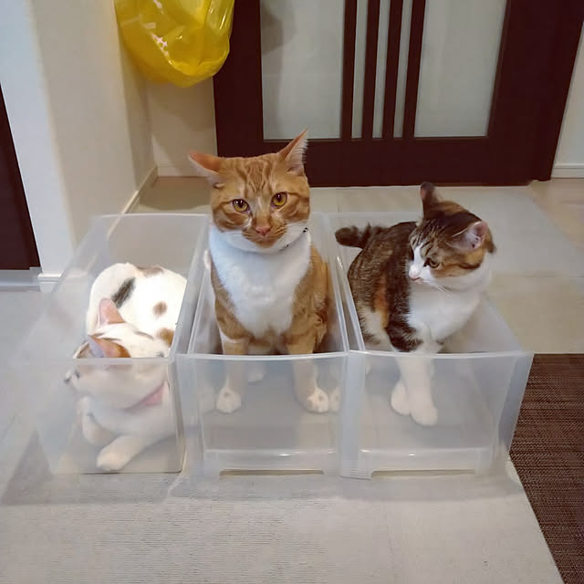 hiroさんの実例写真