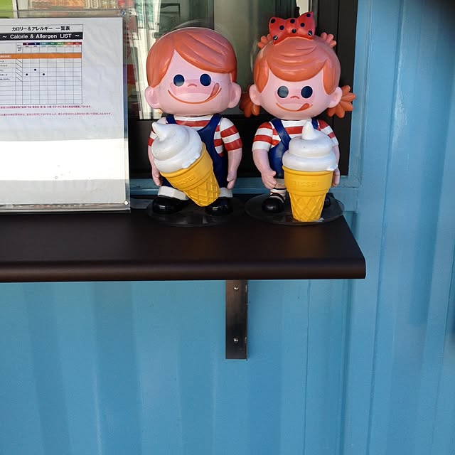 実例写真