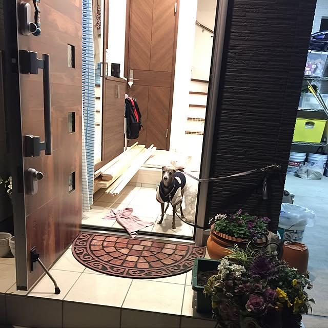 suzyさんの実例写真