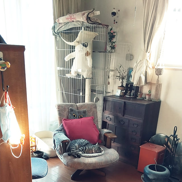 komgi12さんの実例写真