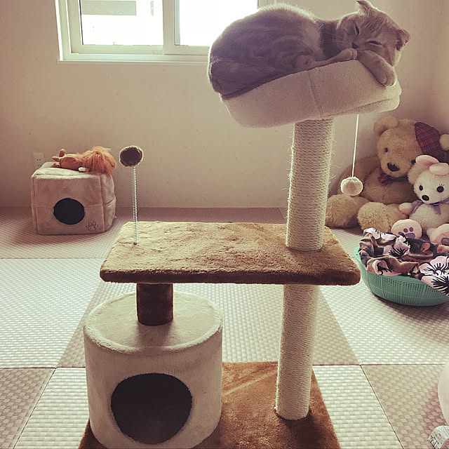 keco.910さんの実例写真