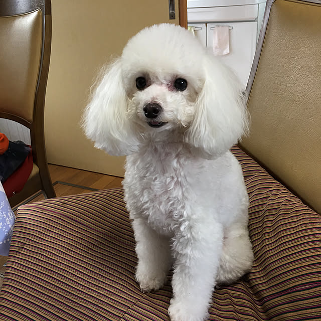 kakoさんの実例写真