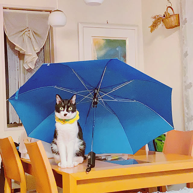 moolさんの実例写真