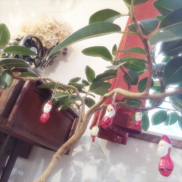 a.marimomoさんの実例写真