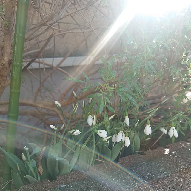 Pikakeさんの実例写真