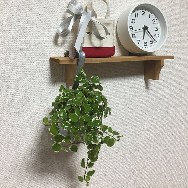 棚/一人暮らし/ナチュラル/カフェ風/観葉植物...などのインテリア実例 - 2018-02-22 18:24:06