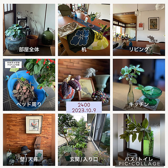 buchiさんの実例写真