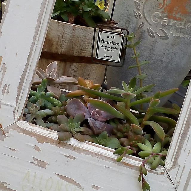 mariagardenさんの実例写真