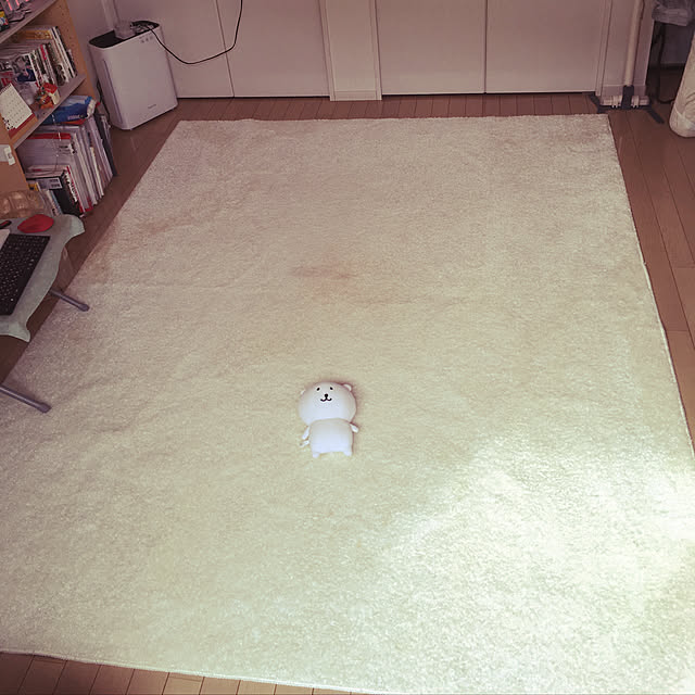 fanyさんの実例写真