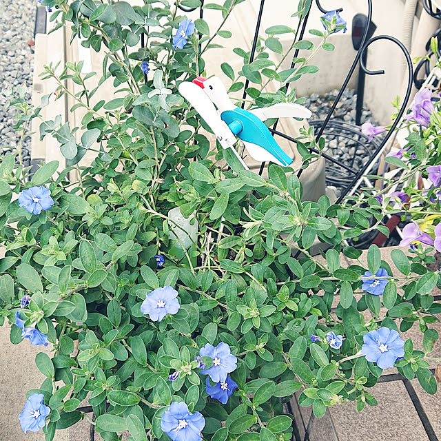 nanさんの実例写真