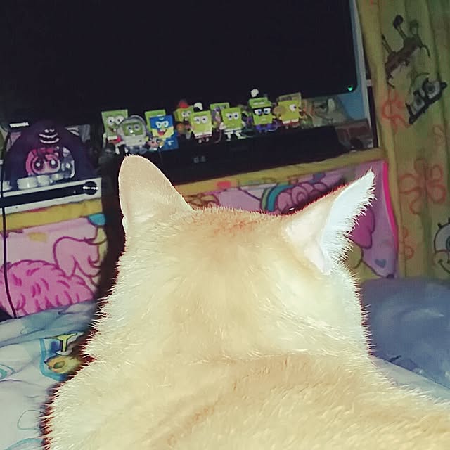 ayaca_kunさんの実例写真