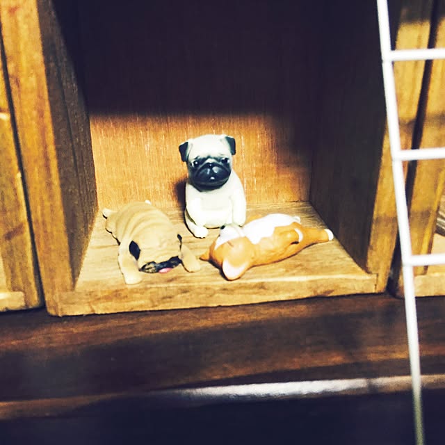 mikichiさんの実例写真