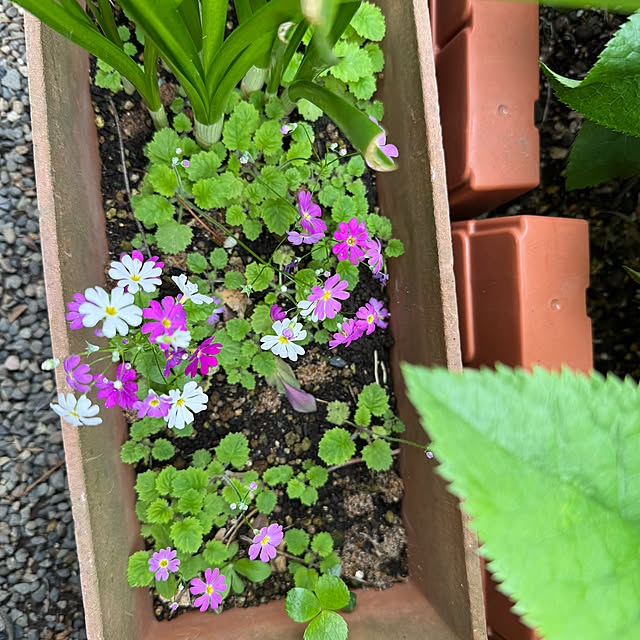 mamizaさんの部屋