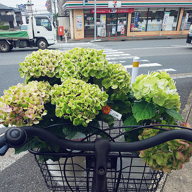 hiro3さんの実例写真