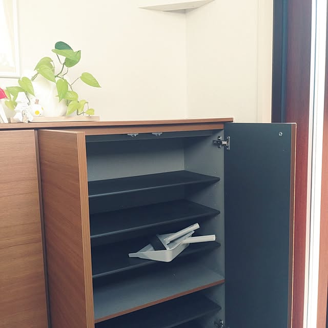 tan5さんの実例写真