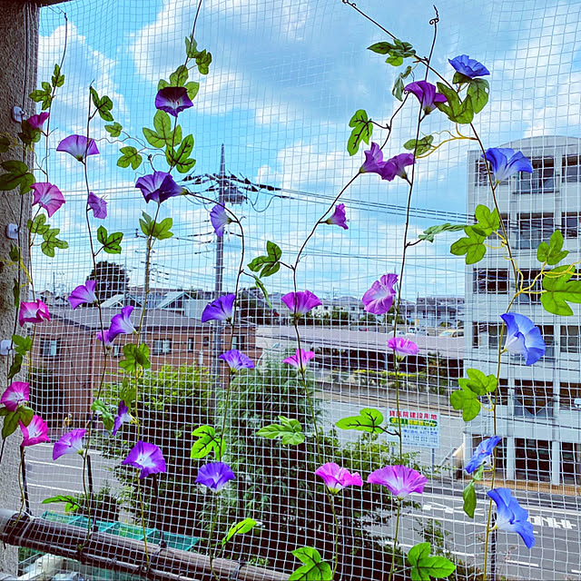shabby666さんの実例写真