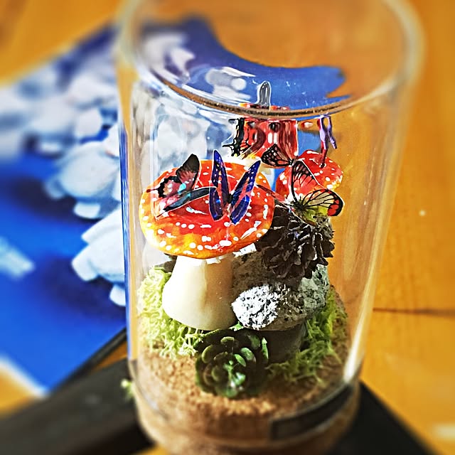 ramuchop3000さんの実例写真
