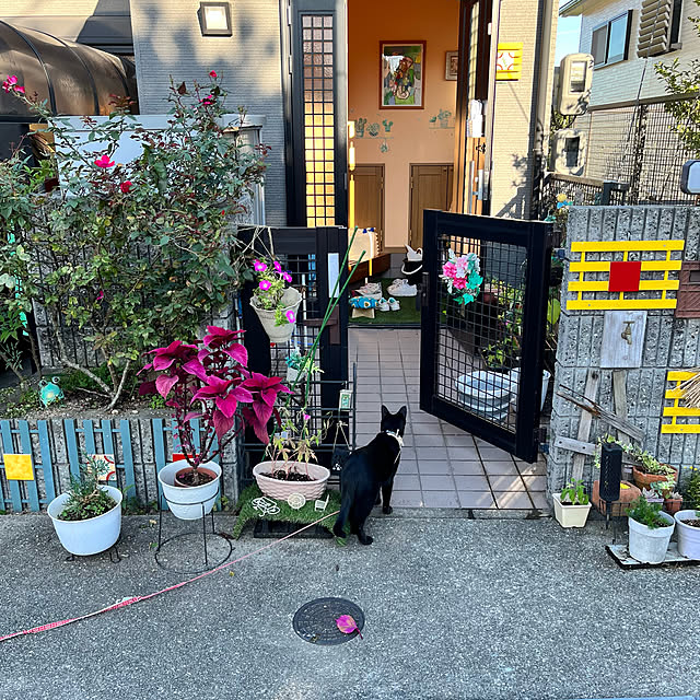 jijiさんの実例写真