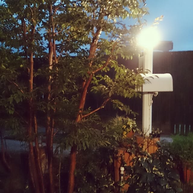 kazu0905さんの実例写真