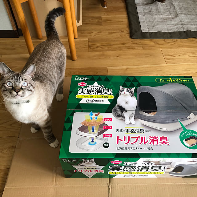 8717さんの実例写真