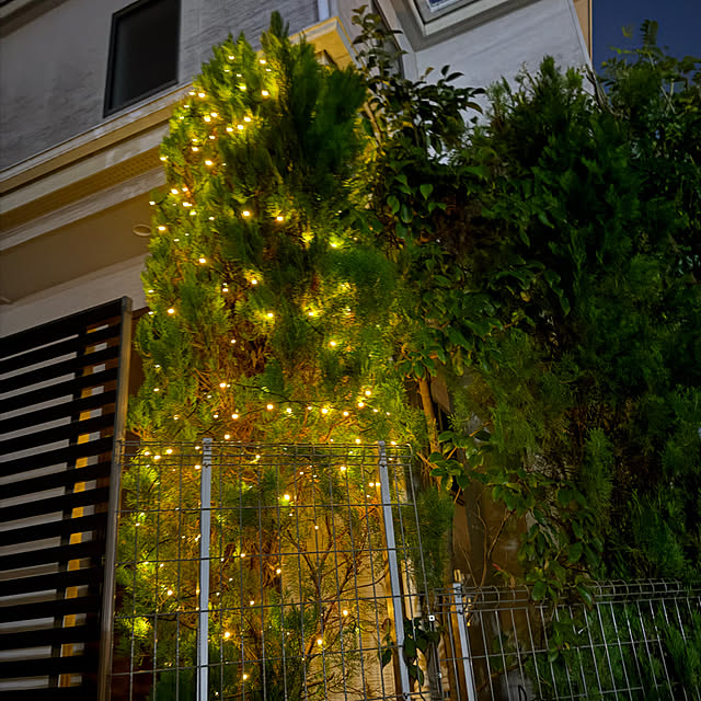 satominさんの実例写真