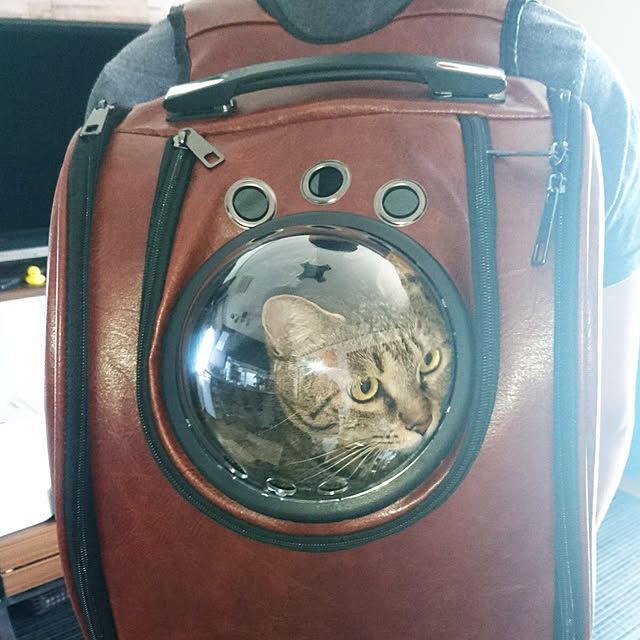 meguさんの実例写真