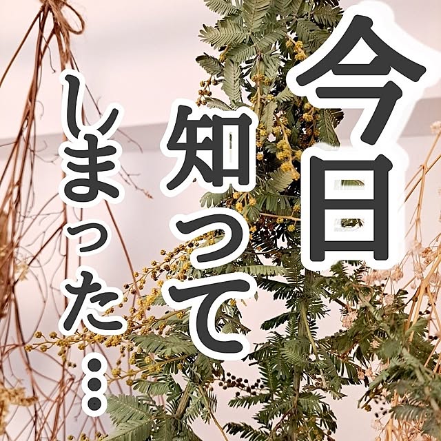 kankanmom_horn_5catsさんの部屋