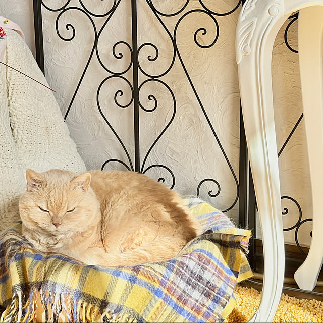 naokoさんの部屋