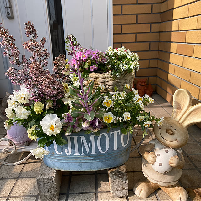 chIoeさんの実例写真