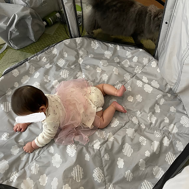 naoさんの実例写真