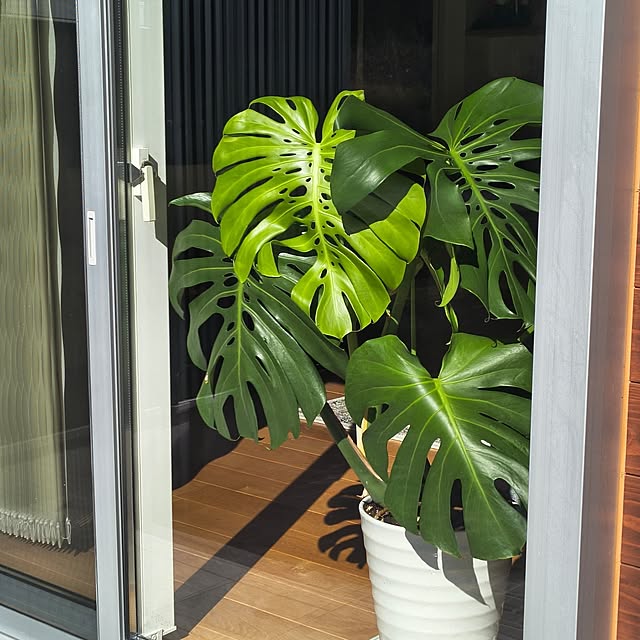 Rubiconさんの部屋