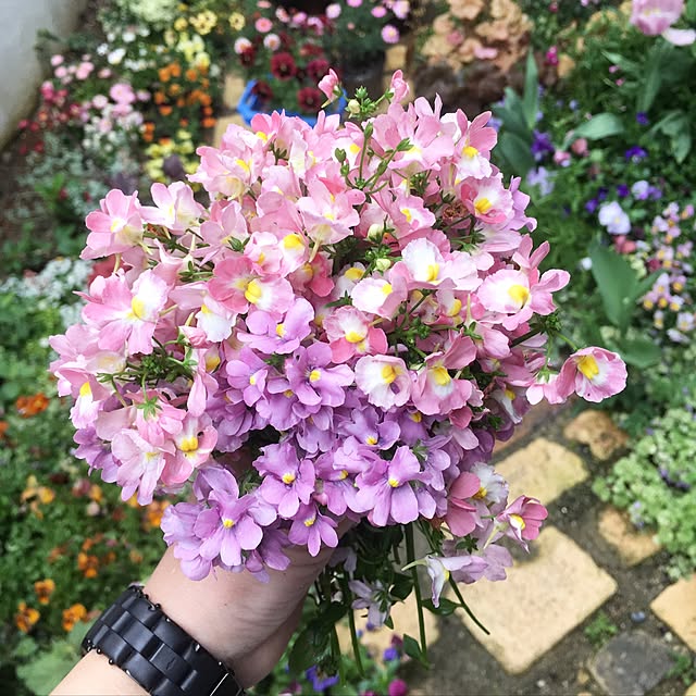 cocco0505さんの実例写真