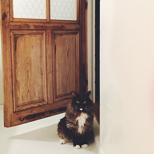 millenautiqueさんの実例写真