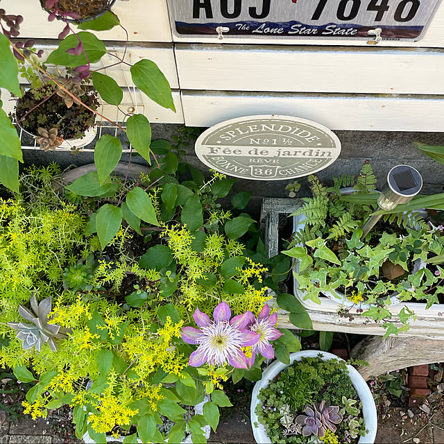 burgundy.roseさんの実例写真