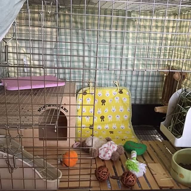 kunchan925さんの実例写真