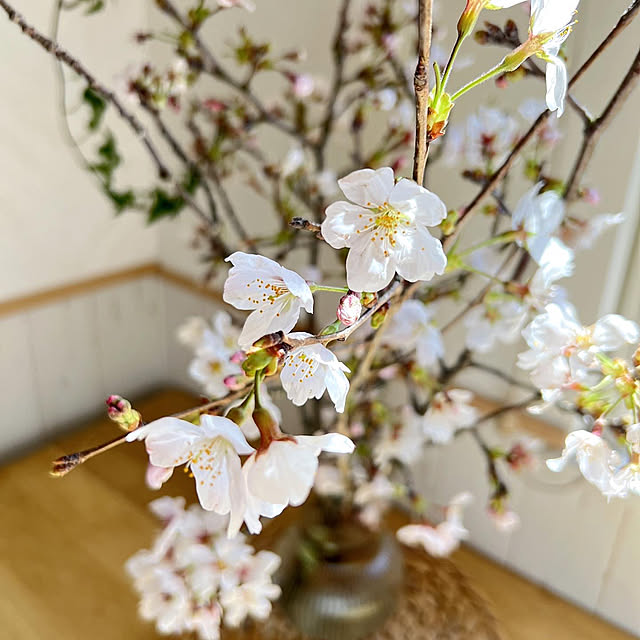 yumimaruさんの部屋