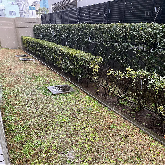 YuuKoさんの実例写真