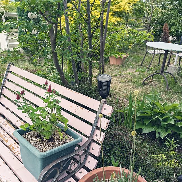 prepreさんの部屋