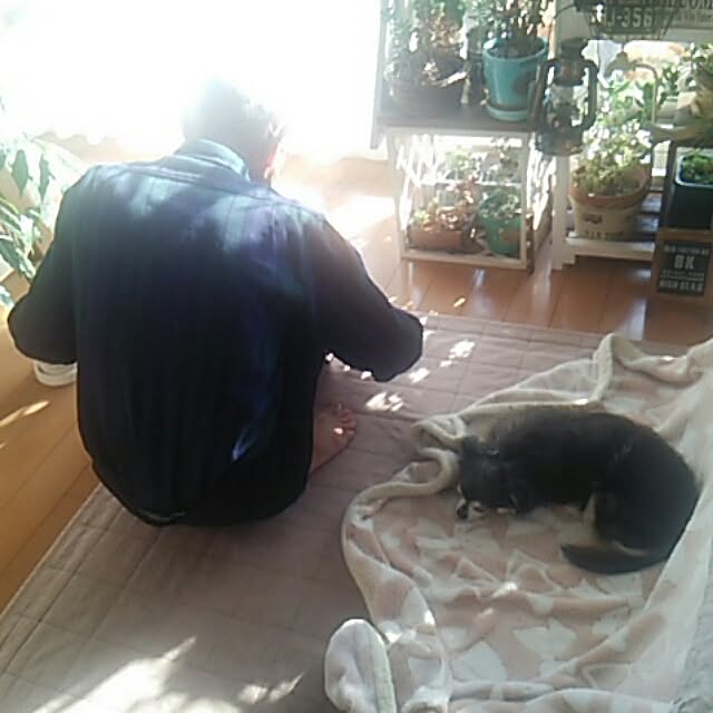 satominさんの実例写真