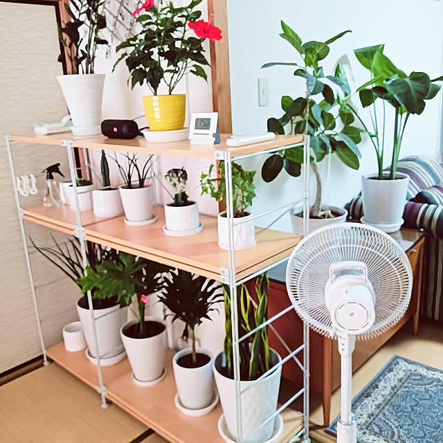 hanachanさんの部屋